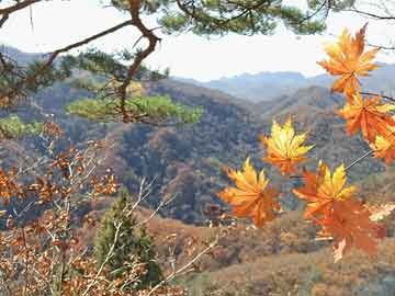🌟黑山峡水电站最新进展与动态🌟