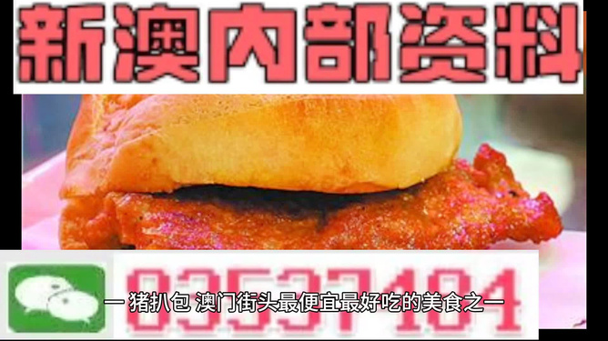 2024澳门精准正版资料大全,2024澳门正版资料全面解析_梦幻版8.45