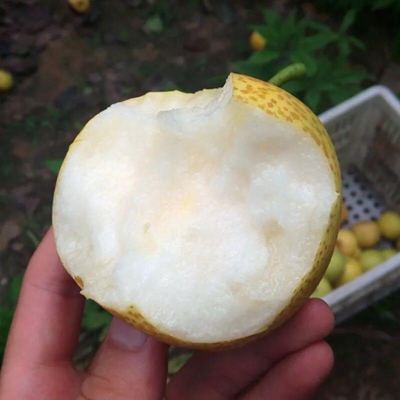 赵县最新消息全面解读与分析