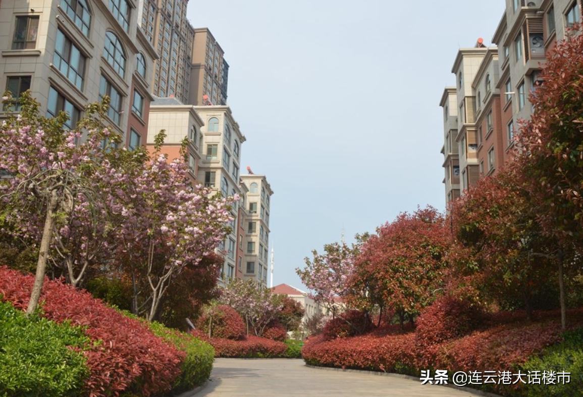 财税培训 第1725页
