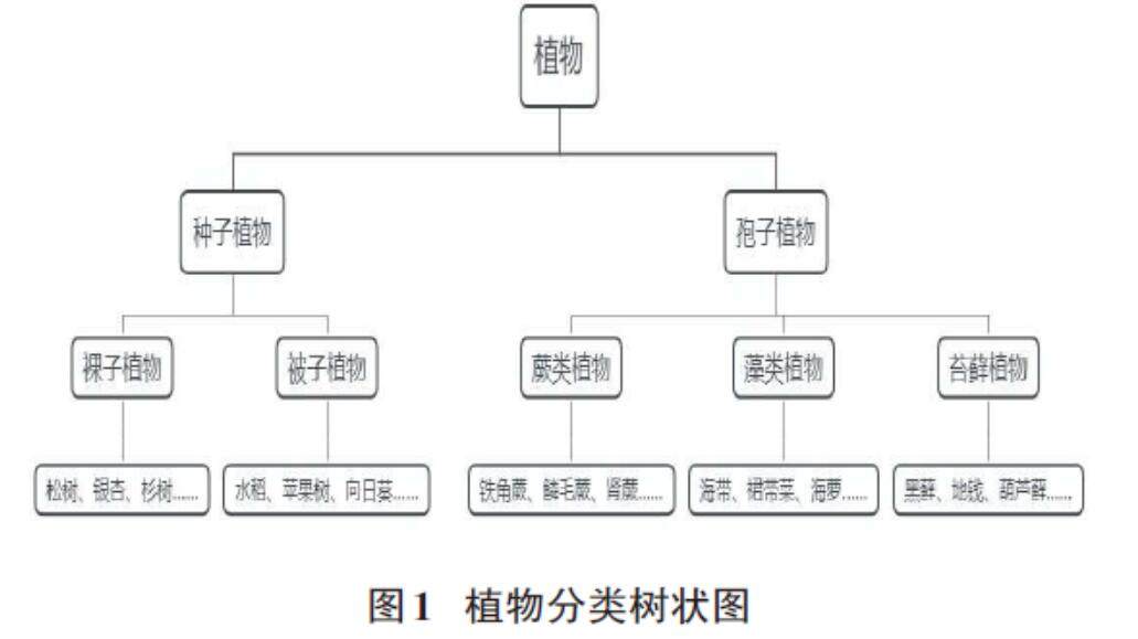 最准一肖一.100%准，经典案例解释定义_AR52.3.51