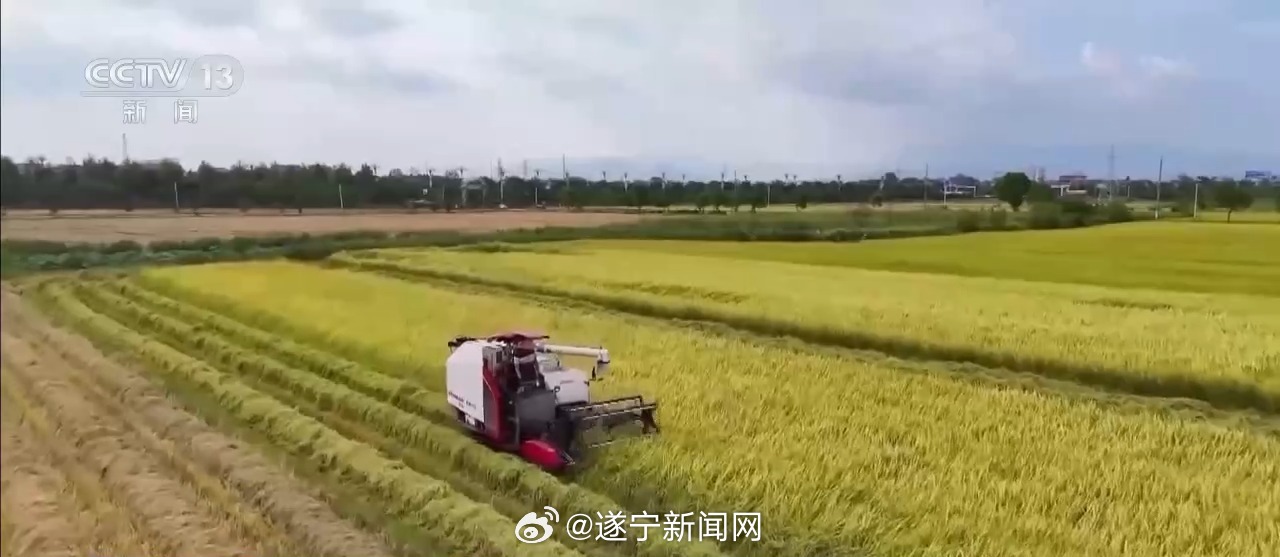 大国粮仓成绩单揭晓，自然美景中的旅行探索之旅