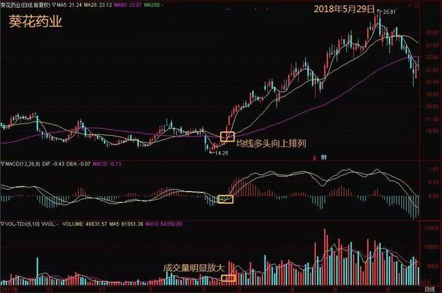 中国石油股票最新动态，时代见证与行业领航者