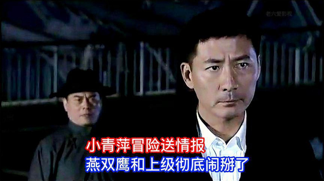 燕双鹰最新电视剧，深度解析与观点阐述