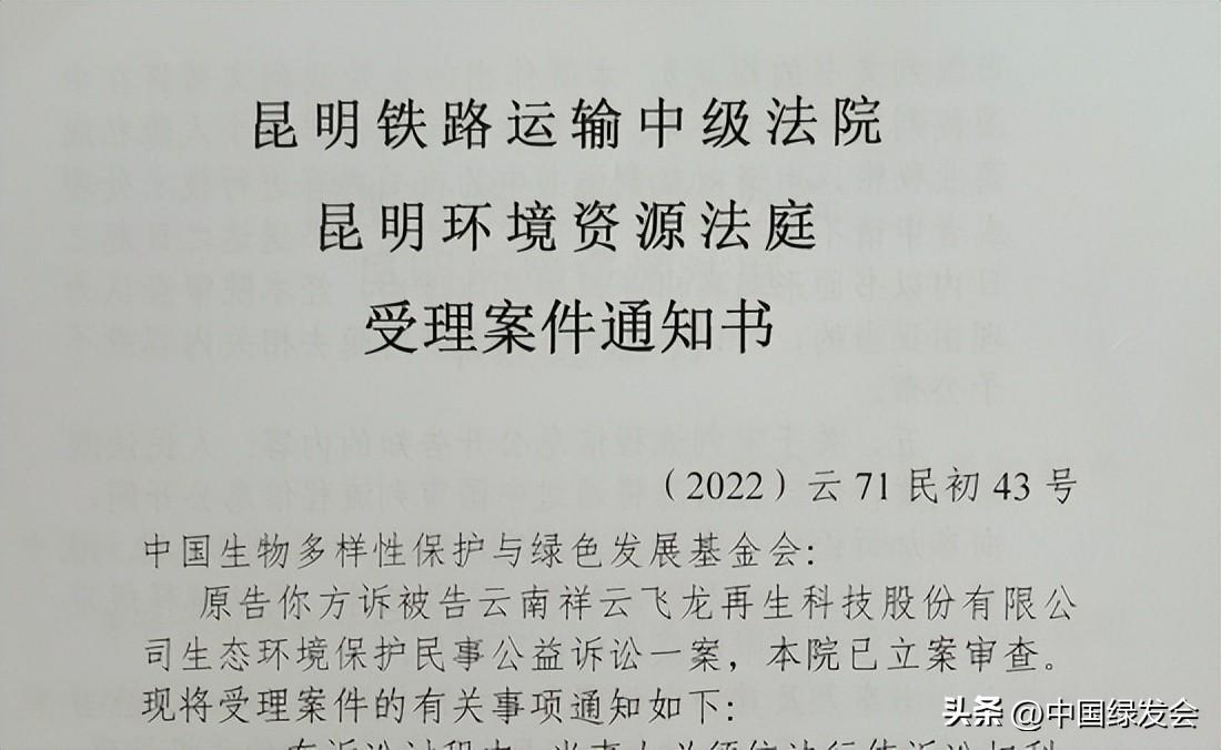 祥云飞龙公司最新动态🌟