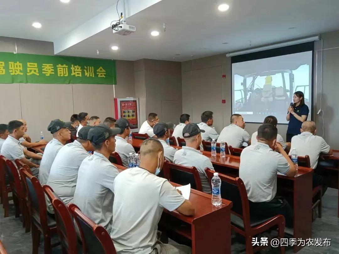宁夏玉米价格最新动态更新