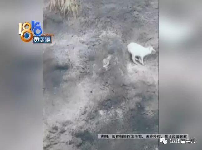 永康厂房出租最新信息及概览