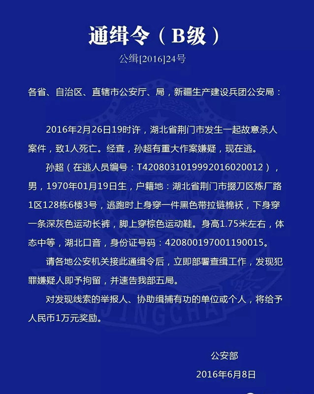 荆门最新命案，深度分析与观点阐述