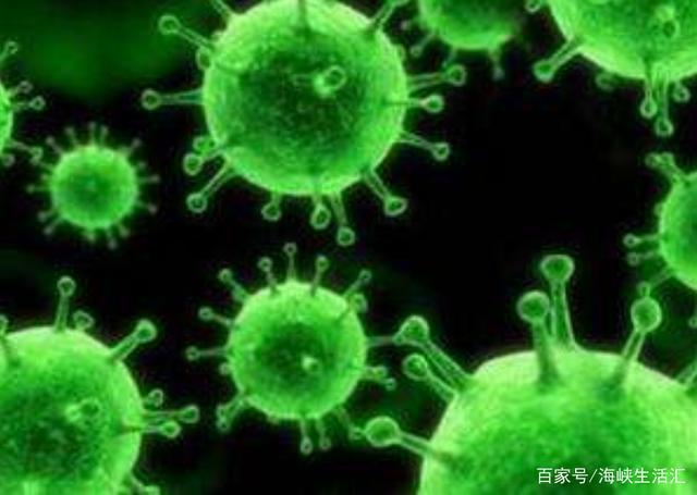 财税培训 第309页
