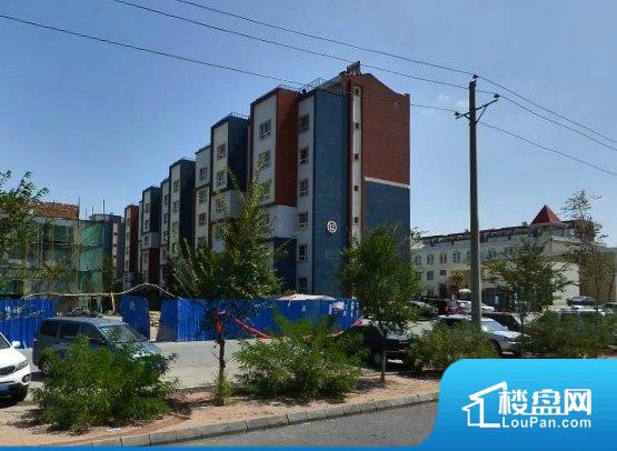 世纪之村最新动态，学习变革，自信成就梦想之路