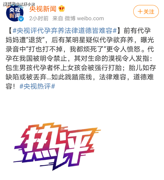 央视小丫最新动态，多元解读下的公众视线焦点