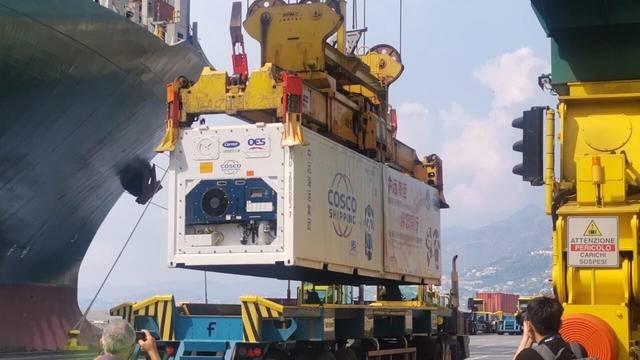 上海二手集卡信息更新，变化、学习与自信的力量