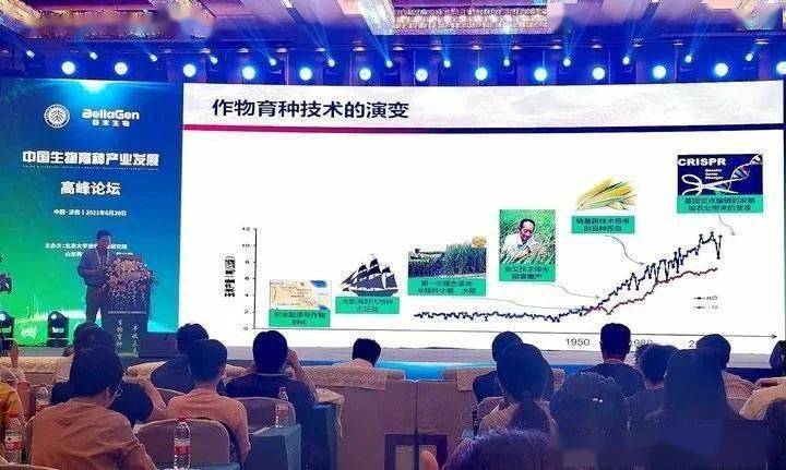 Rosi最新写真，自信与成就的力量展现变化之美
