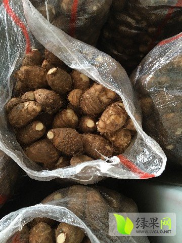 安丘芋头最新价格,安丘芋头最新价格指南