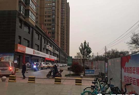杏渭路全新风情探秘，领略独特魅力！
