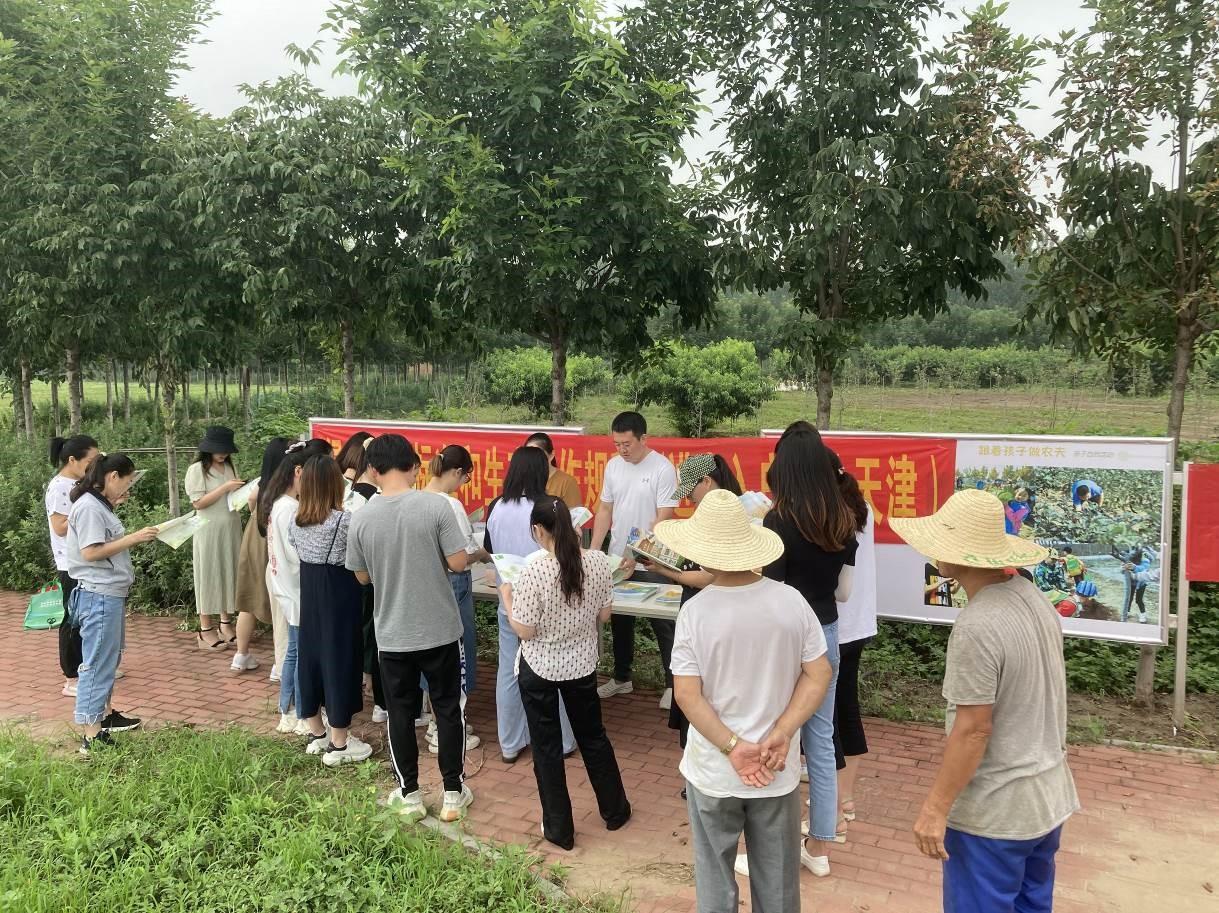 食品创新前沿，探索最新食物的多维探讨