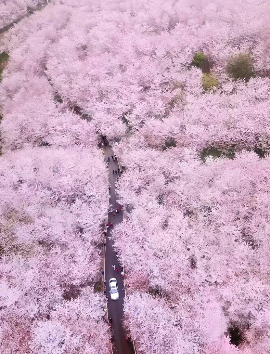 贵安新区最新区探秘，揭秘新区的魅力与风采✨