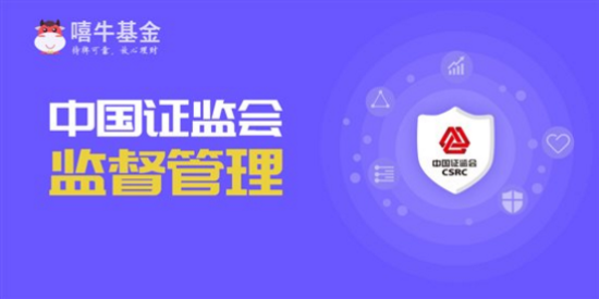 得爱啪最新域名,得爱啪最新域名，引领时尚潮流的新领地