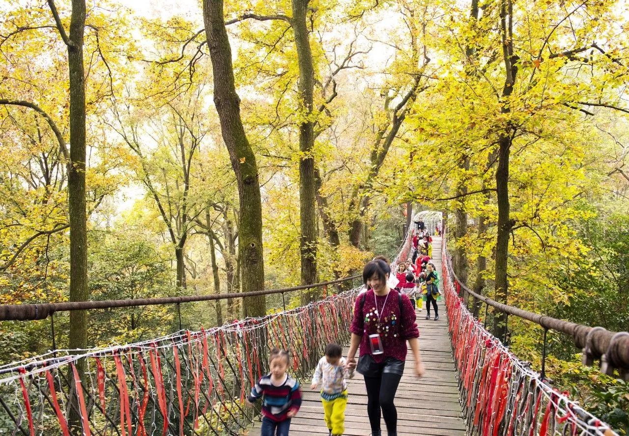 T1最新瓜，自然之旅中寻找内心平静