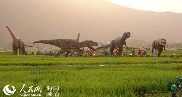 大鲵最新政策引领探索自然美景之旅，寻找内心平和之旅