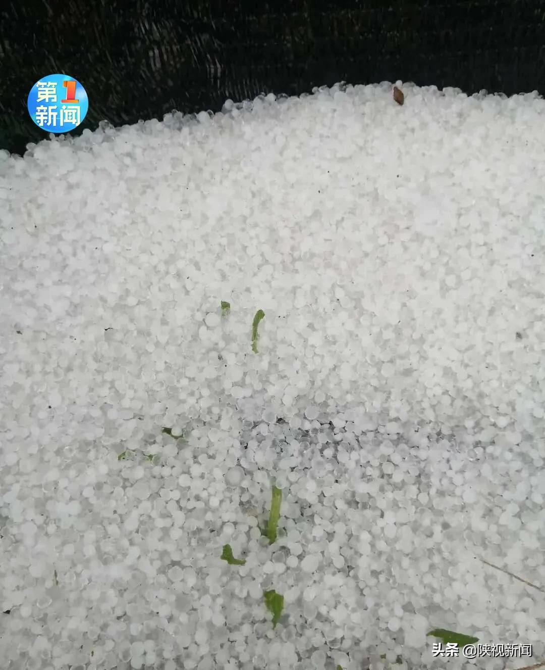 财税培训 第102页