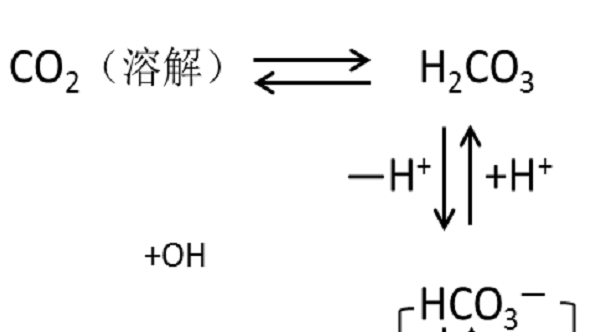 深度解析，贴吧最新磕喘现象，背景事件与影响全揭秘
