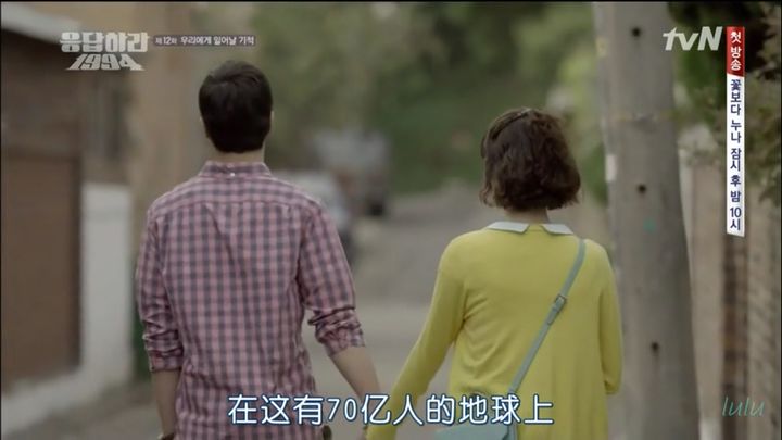 林顾狼视最新，温馨日常趣事回顾