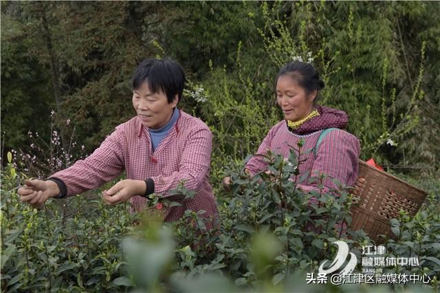 三月最新游戏，创新与玩家期待的热议之旅