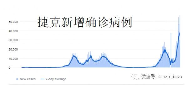 新西兰疫情最新通报，巷弄深处的独特风味