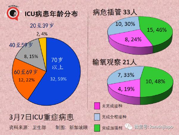 新加坡疫情最新实时更新及重要信息概览
