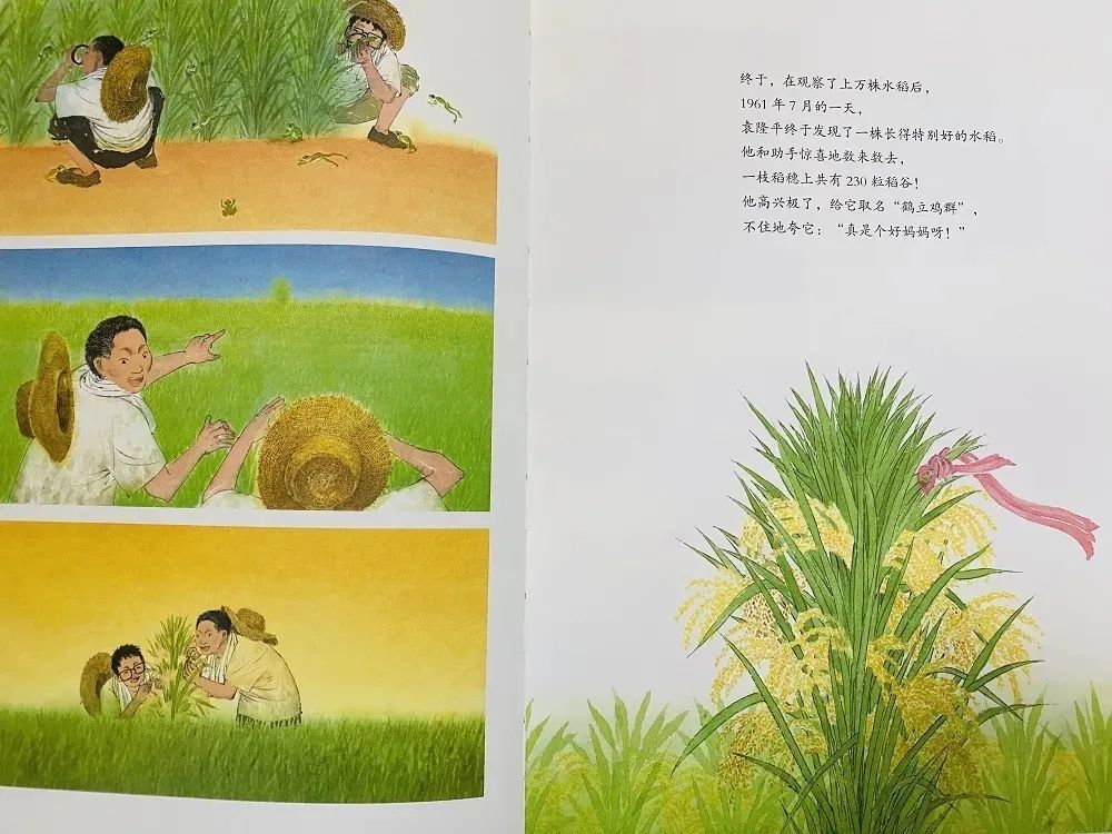 西双版纳最新事件，变化中的奇迹展现自信与成就的力量