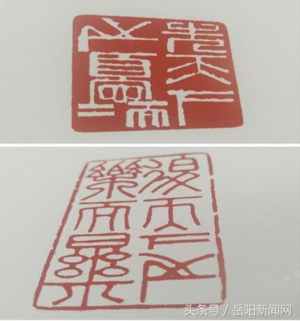 金鹰女神最新视频，自然美景的心灵之旅，探寻内心的平和宁静
