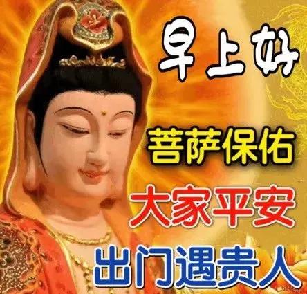 最新疫情防控标准下的自然美景之旅，心灵宁静与平和的追寻