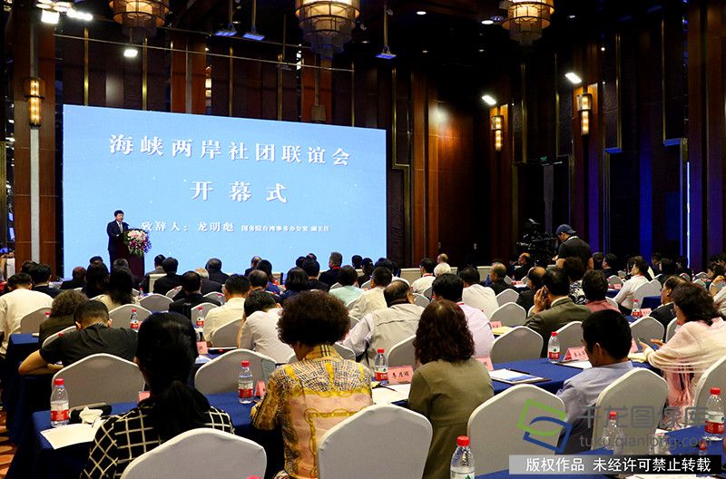 两岸论坛最新,🌸两岸论坛最新动态，共绘未来新篇章🌐