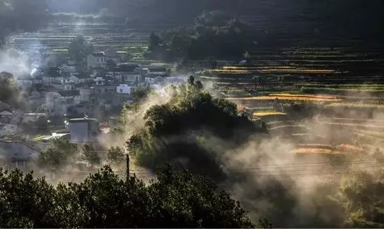 河南最新违法案件探寻自然美景之旅，内心的平和宁静探索之旅