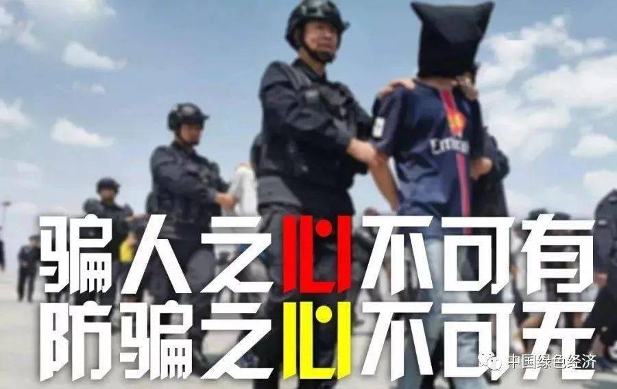 揭秘最新网络诈骗，背景、事件、影响与时代地位探讨