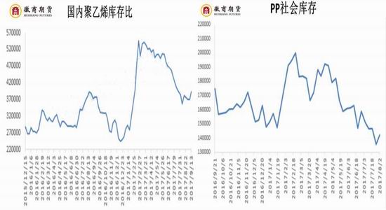 鹿茸价格分析，市场走势、品质差异及影响因素探讨