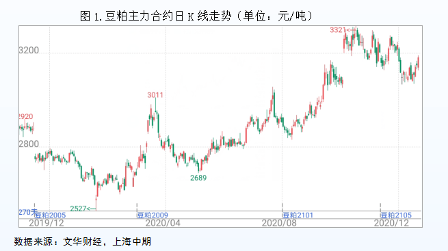 大豆期货今日价格及市场走势分析与展望