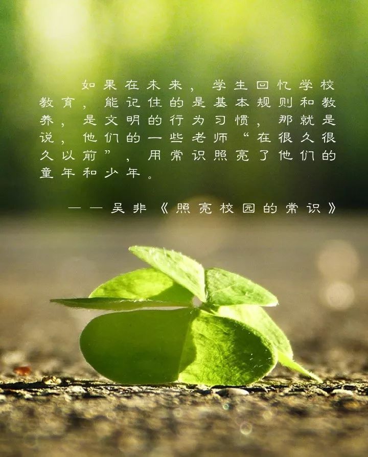 半夏行情，逆袭励志之旅，唤醒内心力量的征程