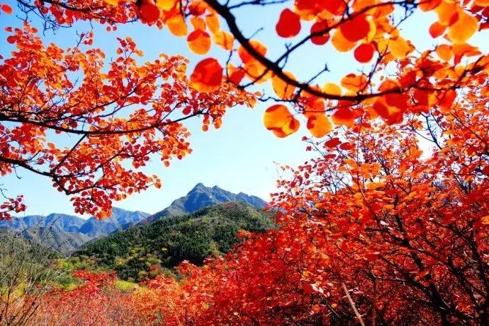 全球股票行情指数，心灵探索与自然美景的奇妙旅程