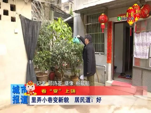 金龙机电最新动态揭秘，小巷深处的独特机电魅力与隐藏式特色小店