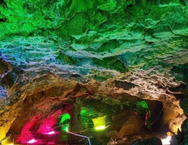 杨木价格动态，与自然美景的旅行对话