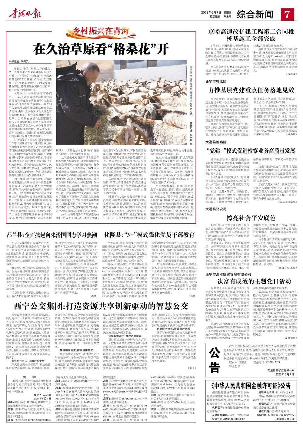青海新华网留言板，一段温馨的友情故事展开旅程