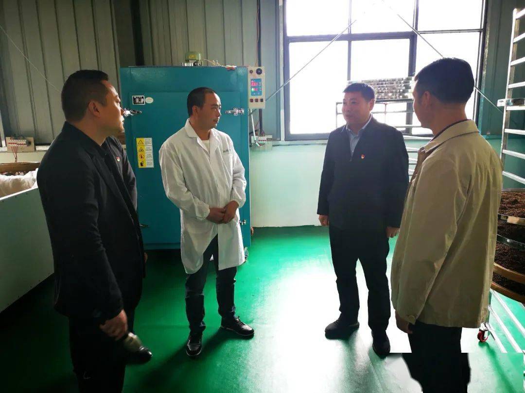 新津县邓双镇最新发展计划详解及其观点论述