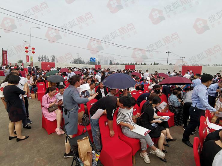 万科石家庄最新资讯速递，获取指南与动态更新