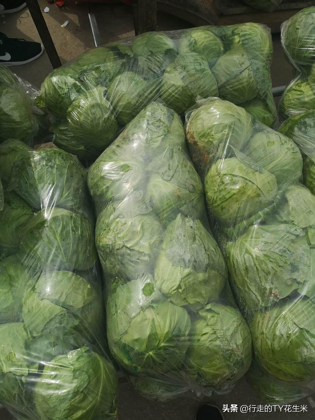 最新蔬菜价格信息及背后的感人故事