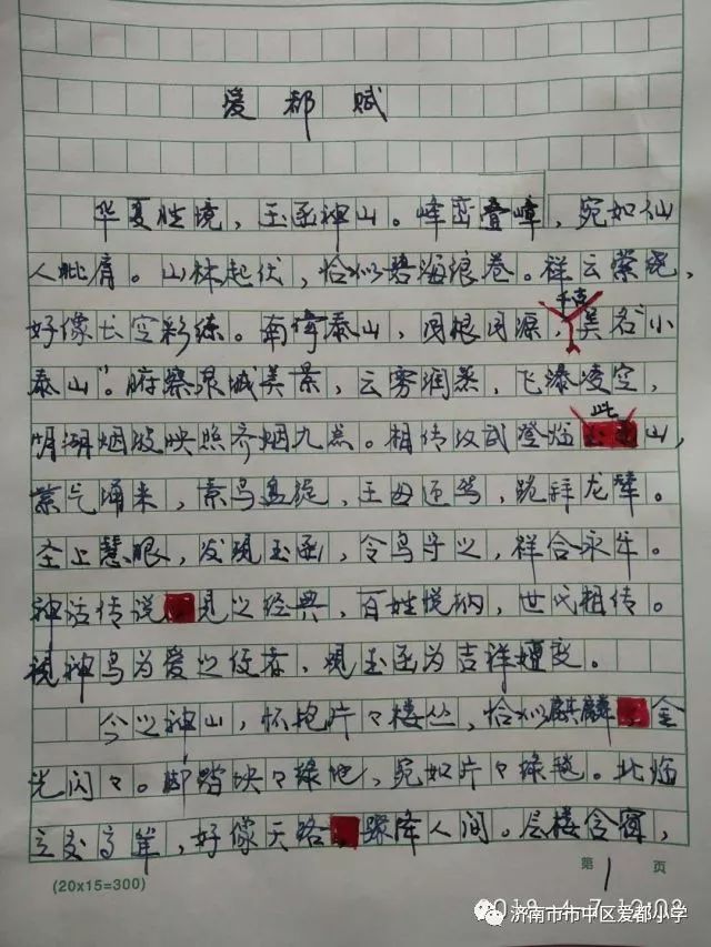 第224页