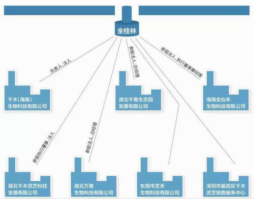 千木灵芝资讯更新及观点论述摘要