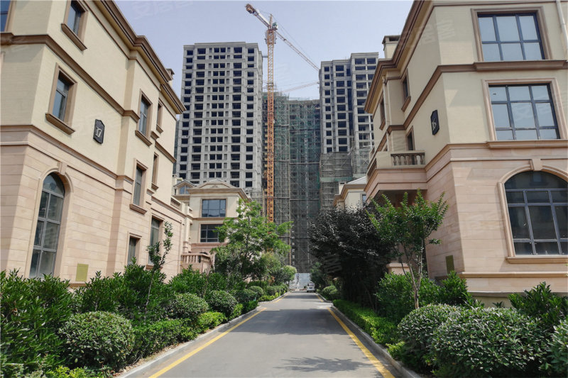邹城鲁香山最新报价及市场走势分析，个人立场探讨