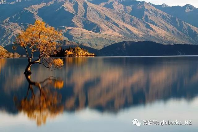 探索自然美景，寻找内心平和与宁静，最新热门旅行视频大放送